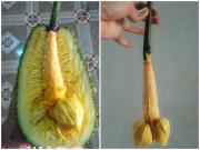 Bếp Eva - Người bán hàng kêu “mít này hột nhỏ” cô gái tin lời và cái kết không thể dối lừa hơn