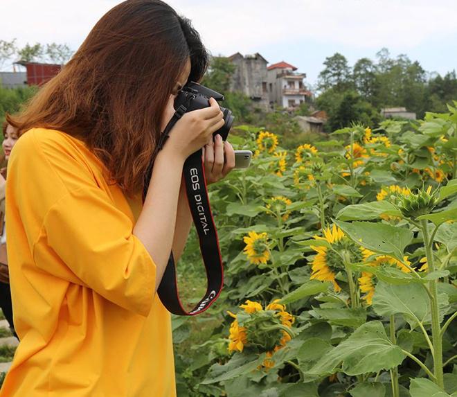 Cánh đồng hoa hướng dương ở Sapa Nơi tận hưởng mùa hè tuyệt vời Cánh đồng hoa hướng dương ở Sapa Nơi tận hưởng mùa hè tuyệt vời