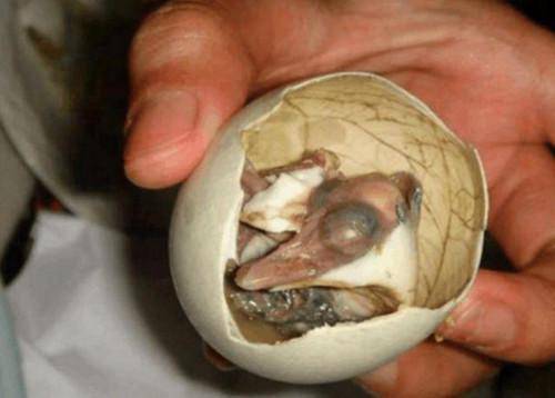 Bé 2 tuổi dậy thì sớm vì bà cho ăn món mà nhiều mẹ Việt nghĩ giúp trẻ thông minh - 1