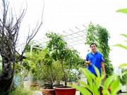 Nhà đẹp - Vào thăm biệt thự triệu USD xanh mướt cây trái của MC "dép tổ ong" Quyền Linh