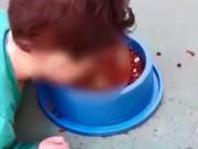 Tin tức - Mẹ bắt con trai 2 tuổi quỳ gối ăn thức ăn của chó làm dậy sóng cộng đồng mạng