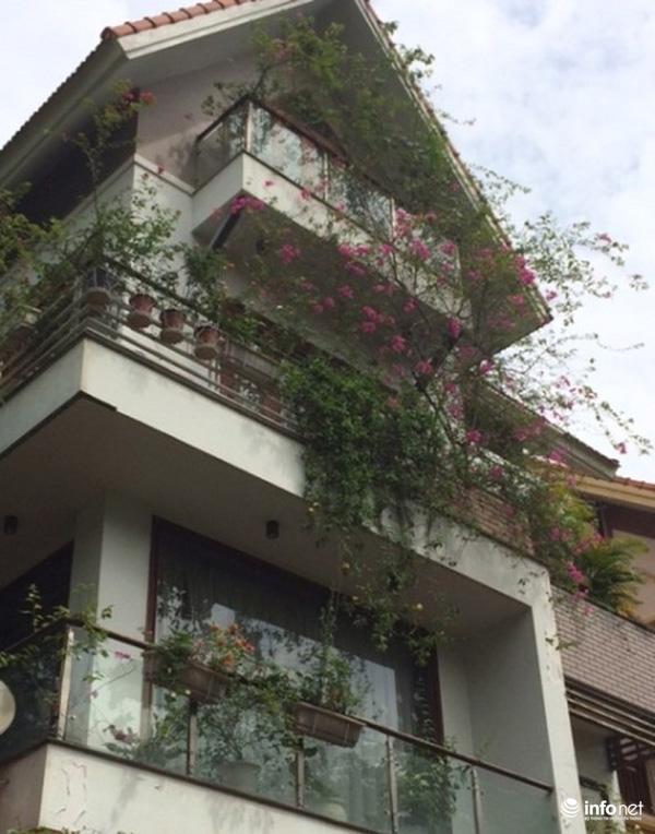 ban cong ngap tran hoa la xua tan nang nong cua nhung biet thu "hoanh trang" o ha noi - 8
