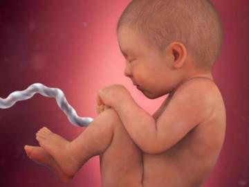 Thai nhi 38 tuần tuổi: Bé đã nắm tay rất chắc