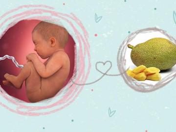 Thai nhi 39 tuần tuổi: Thay lớp da non