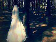 Tin tức - Cô dâu biến mất trong hôn lễ, chú rể đã có hành động khiến hai gia đình choáng váng