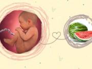 Bà bầu - Thai nhi 40 tuần tuổi: Thời khắc mong chờ suốt 9 tháng 10 ngày đã đến!