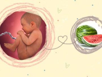 Thai nhi 40 tuần tuổi: Thời khắc mong chờ suốt 9 tháng 10 ngày đã đến!