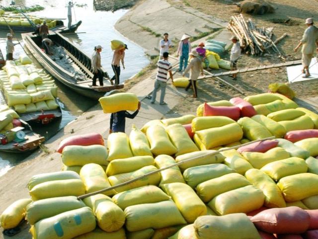 Trung Quốc thay đổi thuế nhập khẩu gạo: Việt Nam có bị ảnh hưởng?