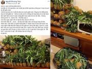 Làm đẹp - Chồng mua 100 trái dứa nguyện giúp vợ “dành cả thanh xuân để giảm cân"