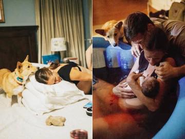 Ảnh sinh nở bỗng dưng nổi như cồn vì một thành viên đặc biệt nửa bước không rời   mẹ 