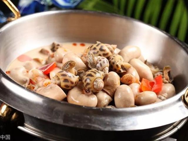 Cô gái nhập viện sau khi ăn ốc xào cùng bạn, loại ốc này độc gấp trăm lần thạch tín