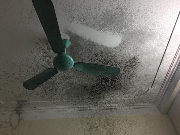 Chị em amp;#34;hoảng hồnamp;#34; vì vụ nổ nồi áp suất khi đang ninh chè: Cẩn thận nồi nổ như bom! - 3