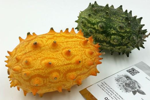 Xôn xao loại dưa chuột kì dị toàn gai, giá 400.000 đồng/quả nhưng ăn vào thì amp;#34;đã đờiamp;#34; - 1