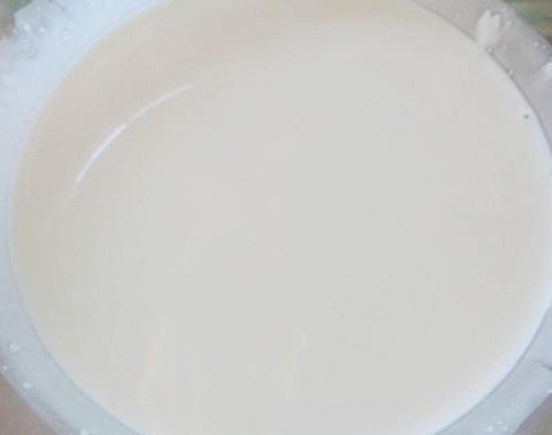 Cách làm sữa chua nha đam tươi mát, đẹp da - 8