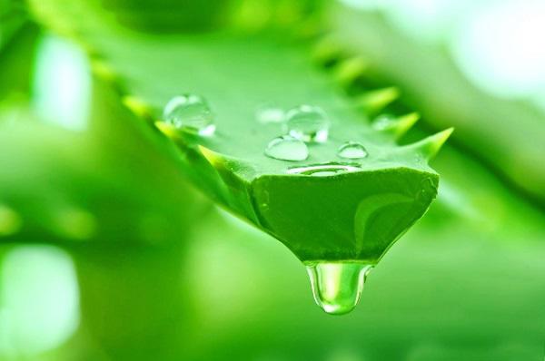 vua muon tiet kiem vua muon dep, hoc ngay 5 cach lam trang da mat ngon bo re nay! - 5