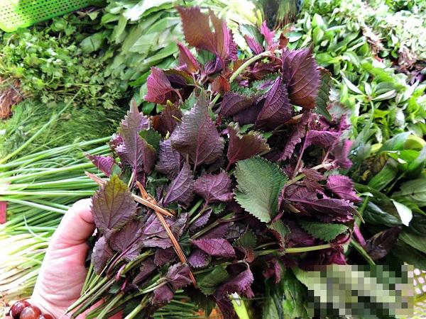 vua muon tiet kiem vua muon dep, hoc ngay 5 cach lam trang da mat ngon bo re nay! - 9