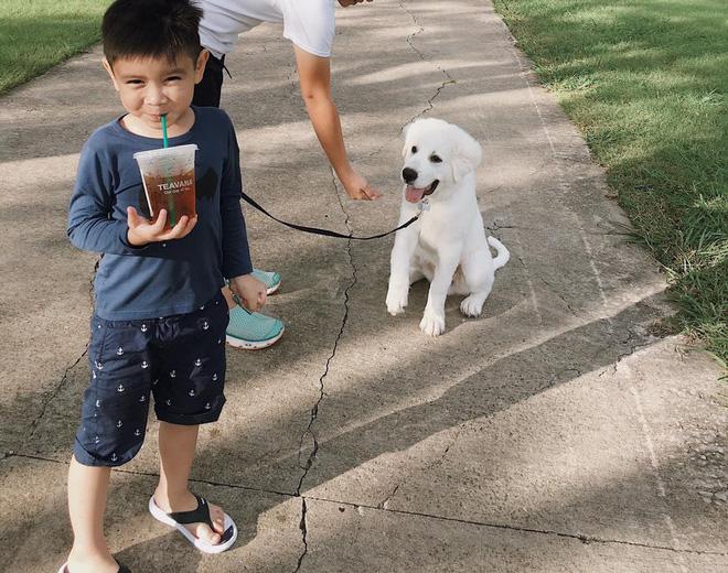 Lứa amp;#34;rồng vàngamp;#34; showbiz Việt vào lớp 1, người chọn trường quê, người cắp sách sang Mỹ học - 9