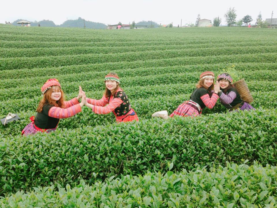 5 địa điểm du lịch ở Sơn La đã đến là phải check-in - 1