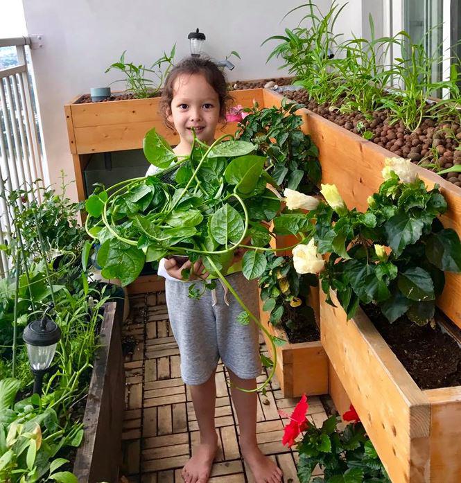 Cận cảnh khu nhà vườn triệu đô bình yên, xưa mà không cũ của diva Hồng Nhung - 13