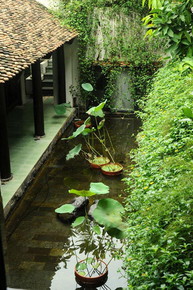 Cận cảnh khu nhà vườn triệu đô bình yên, xưa mà không cũ của diva Hồng Nhung - 5