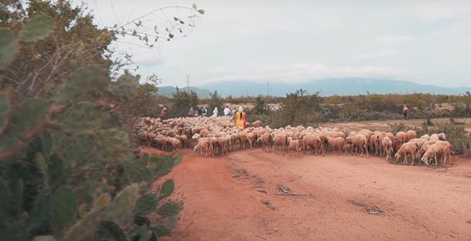 Đẹp mê ly clip dạo chơi khắp biển miền Trung đến Sài Gòn chỉ trong 4 phút! - 13