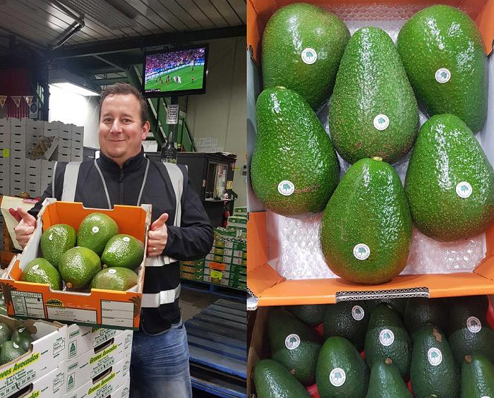 Giống bơ amp;#34;khủngamp;#34; nhất thế giới trên 1,2kg/quả, to như đầu người, cả nhà ăn không hết - 4