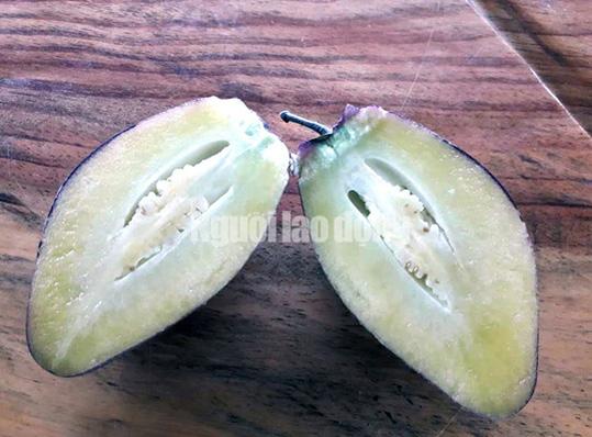 Kỹ sư 8X trẻ được trồng amp;#34;hàng độcamp;#34; dưa pepino tím độc nhất vô nhị ở Việt Nam - 3