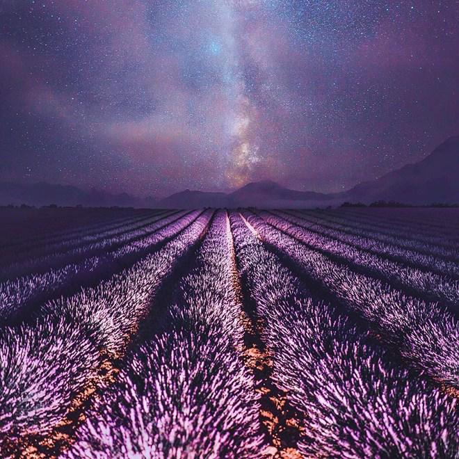 Vạn cô gái khao khát được đứng giữa cánh đồng oải hương đẹp như truyền thuyết này 1 lần! - 13