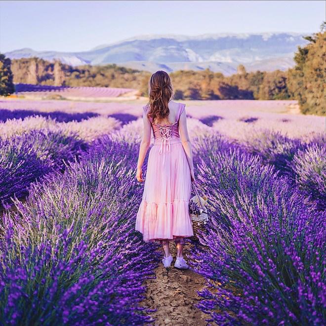 Vạn cô gái khao khát được đứng giữa cánh đồng oải hương đẹp như truyền thuyết này 1 lần! - 7
