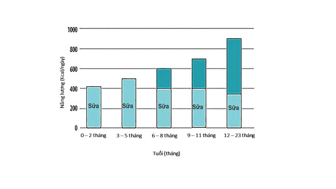 Thói biếng ăn của trẻ bắt nguồn từ sai lầm của mẹ? - 3