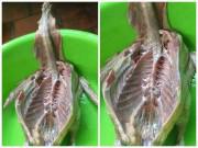 Bếp Eva - Cô gái mổ ngan xong, mẹ đẻ nhìn rồi thốt lên ai oán “sao có thể lấy được chồng”?