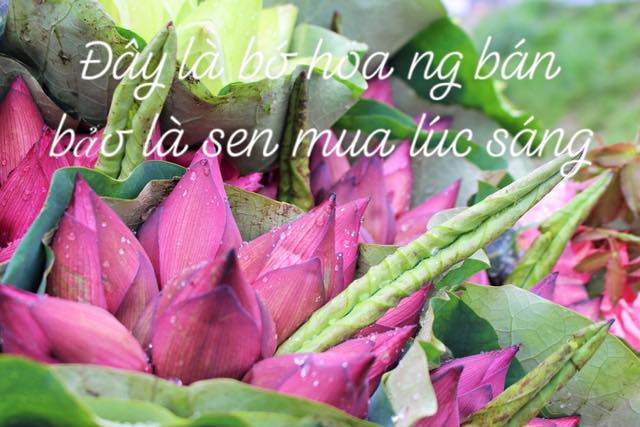 Anh chàng mua sen 3 lần bị lừa nhưng nghe người ta nói một câu, vẫn thấy amp;#34;Mình may chánamp;#34; - 1