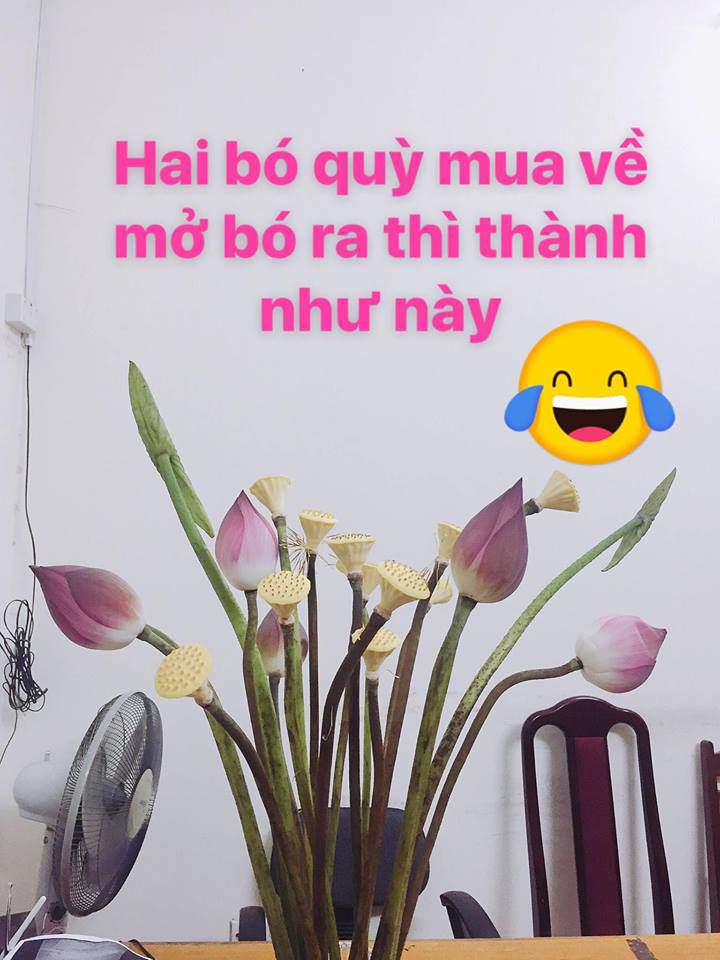 Anh chàng mua sen 3 lần bị lừa nhưng nghe người ta nói một câu, vẫn thấy amp;#34;Mình may chánamp;#34; - 3