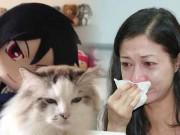 Giải trí - Bị Thành Long bỏ rơi, con gái ôm hận, HH Hong Kong may búp bê hình người làm bầu bạn
