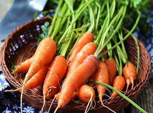 2 cách siêu đơn giản để trồng cà rốt tự chế cho củ đầy đặn, ngọt và mặn - 1