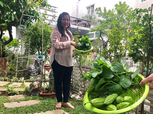 Ngắm vườn rau xanh mướt ai nhìn cũng mê của vợ chồng nghệ sĩ Hồng Vân - Lê Tuấn Anh