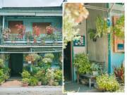 Nhà đẹp - Có một ngôi nhà hoa lá quá bình yên ở An Giang khiến ai cũng mơ "Nhà tôi ở đó"