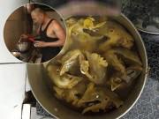 Bếp Eva - Được ngày bố vào bếp làm cơm đãi cả nhà, con vừa mở vung liền "hồn bay phách lạc"