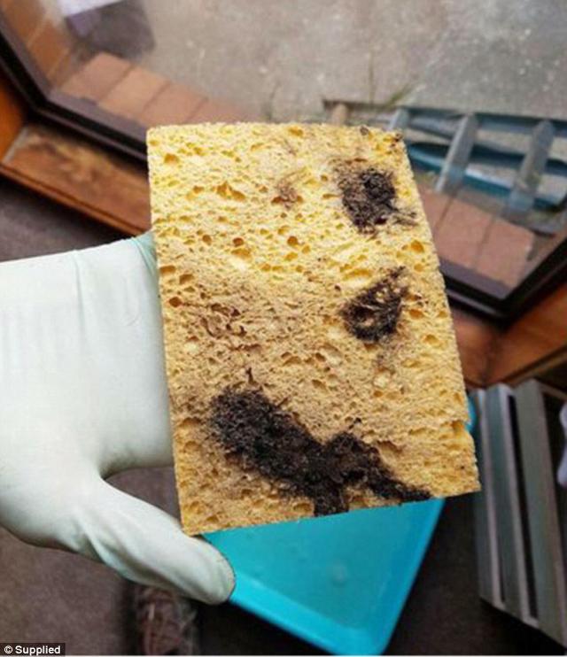 4 năm đi viện 160 lần, cô gái tưởng nghén thai kỳ nào ngờ do thứ không tưởng trong nhà - 3