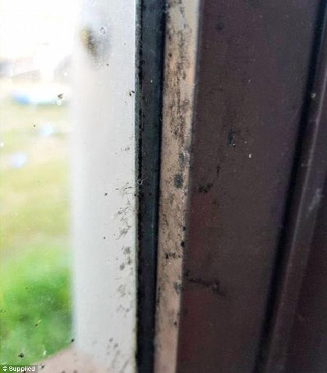 4 năm đi viện 160 lần, cô gái tưởng nghén thai kỳ nào ngờ do thứ không tưởng trong nhà - 5