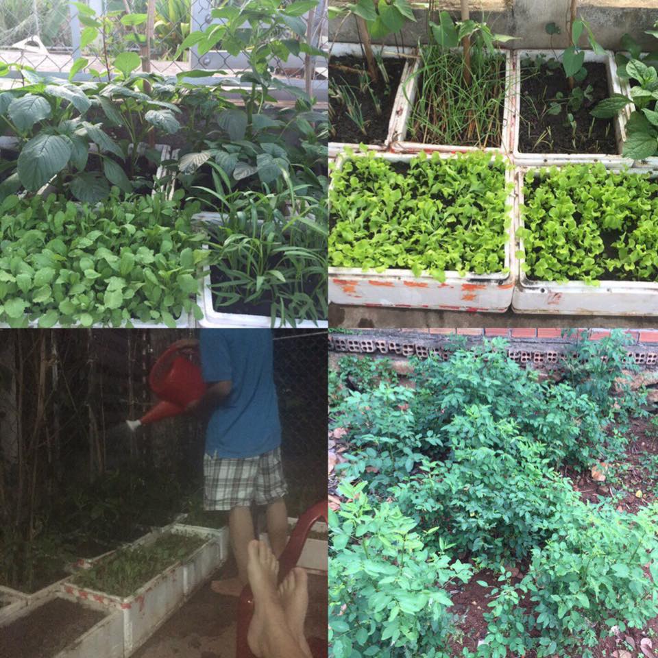 Bỏ việc lương cao lấy chồng Nghệ An, mẹ bầu được đun nước ngâm chân, cơm cữ bưng tận giường - 5