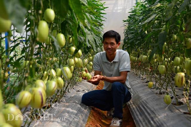 Bỏ phố lên rừng, chàng trai 8x Đà Lạt trồng được cả trang trại toàn loại quả siêu độc lạ - 1