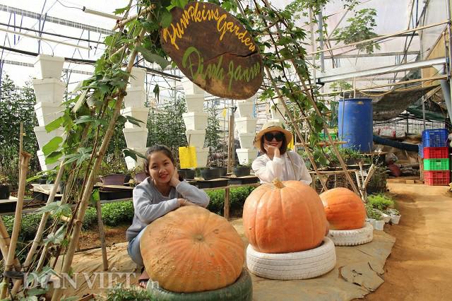 Bỏ phố lên rừng, chàng trai 8x Đà Lạt trồng được cả trang trại toàn loại quả siêu độc lạ - 3