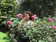 Nhà đẹp - Con gái thu nhập "khủng", ở biệt thự hoành tráng nhưng mẹ Hồ Ngọc Hà vẫn "nông dân" thế này