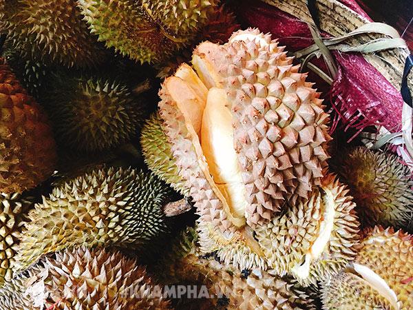 Người Sài Gòn xếp hàng ăn sầu riêng trả hạt, 9x Đắk Lắk một ngày bỏ túi 30 triệu - 7