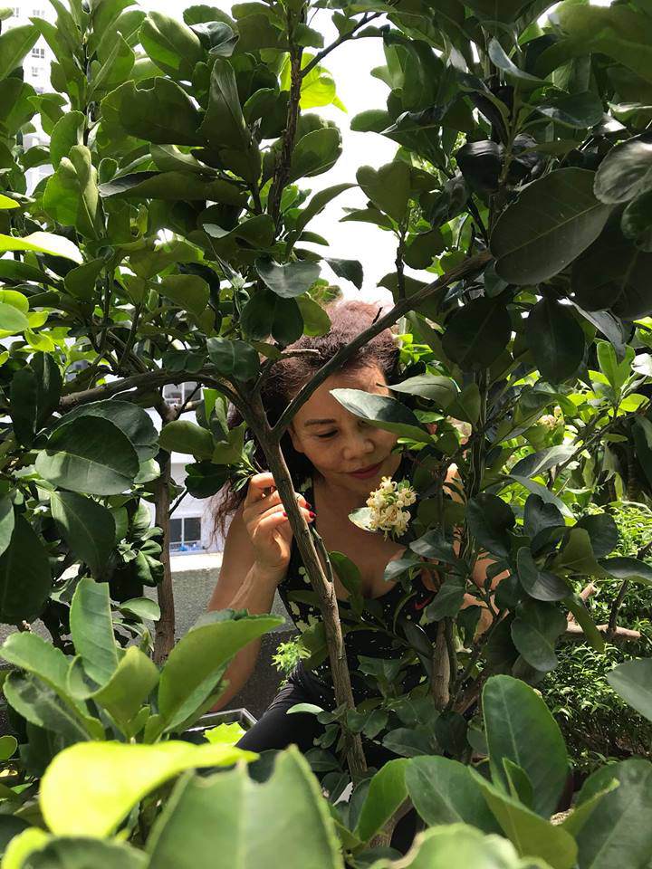 Con gái thu nhập amp;#34;khủngamp;#34;, ở biệt thự hoành tráng nhưng mẹ Hồ Ngọc Hà vẫn amp;#34;nông dânamp;#34; thế này - 6