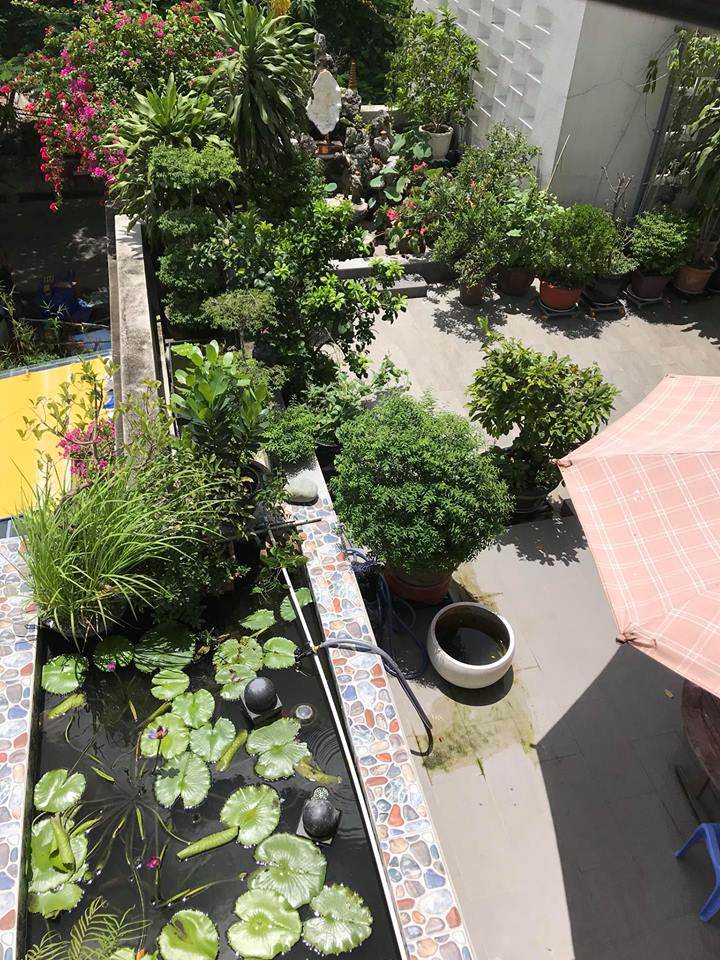 Con gái thu nhập amp;#34;khủngamp;#34;, ở biệt thự hoành tráng nhưng mẹ Hồ Ngọc Hà vẫn amp;#34;nông dânamp;#34; thế này - 4