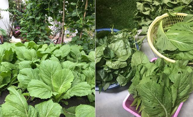 Con gái thu nhập amp;#34;khủngamp;#34;, ở biệt thự hoành tráng nhưng mẹ Hồ Ngọc Hà vẫn amp;#34;nông dânamp;#34; thế này - 15