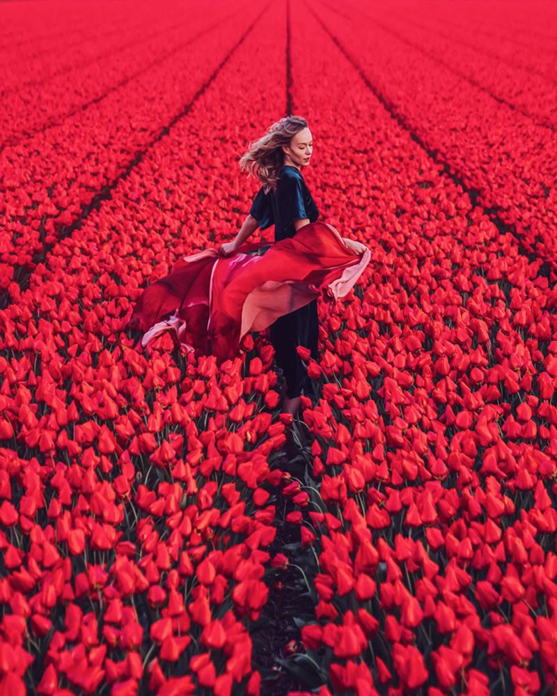 Địa điểm: Cánh đồng tulip, Bắc Hà Lan. Người mẫu: Asya
