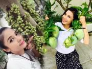 Nhà đẹp - Thăm nhà vườn yên bình đủ loại rau trái sai trĩu của "Người đẹp Tây Đô" Việt Trinh